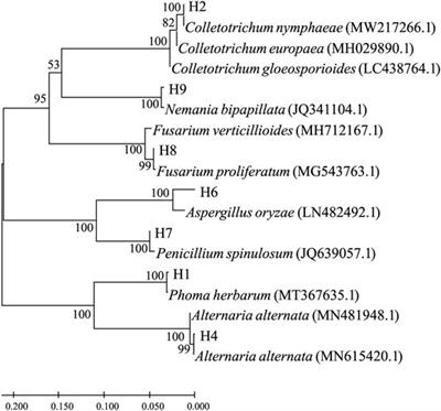 Laboratory Screening of Control Agents Against Isolated Fungal Pathogens Causing Postharvest Diseases of Pitaya in Guizhou, China